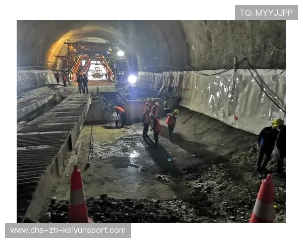 8亿投资被接管，重庆老板与PPP项目再起冲突，重庆最有钱的老板