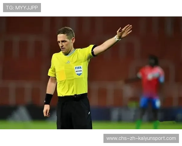 欧洲杯裁判技术支持系统得到升级并首次应用，欧洲杯决赛裁判选派